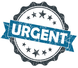 urgent translation, urgent certified translation, urgent notarized translation